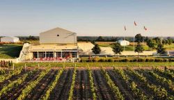 Huff Estates Winery
.