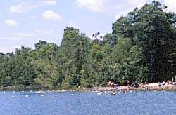 Sharbot Lake Provincial Park.