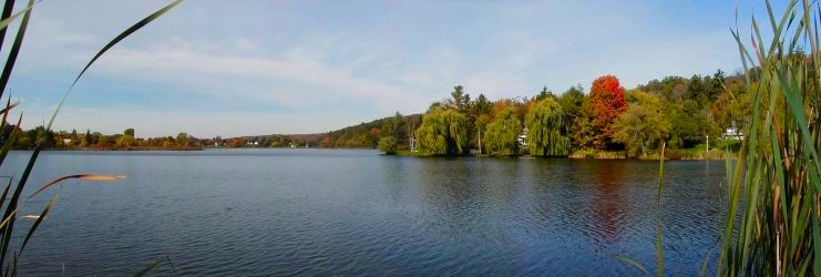 Moving to beautiful Westport.